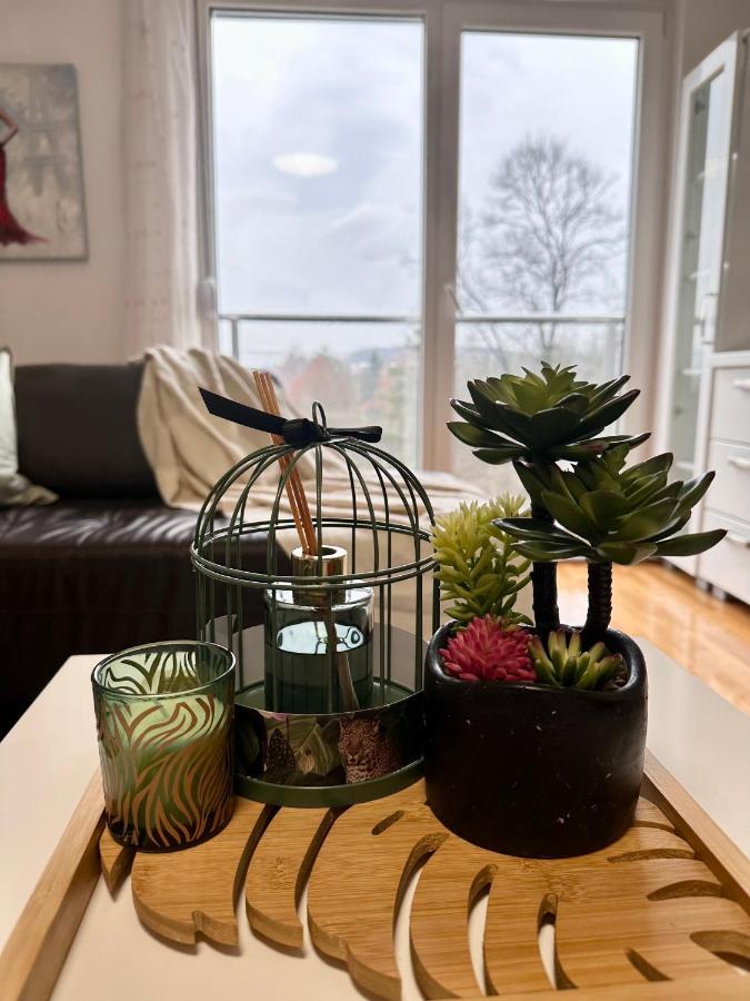 Apartman Floresta - In Front Of Japanese Garden, Enchanting Nature View, Spotless And Cozy Vrnjačka Banja Exteriér fotografie